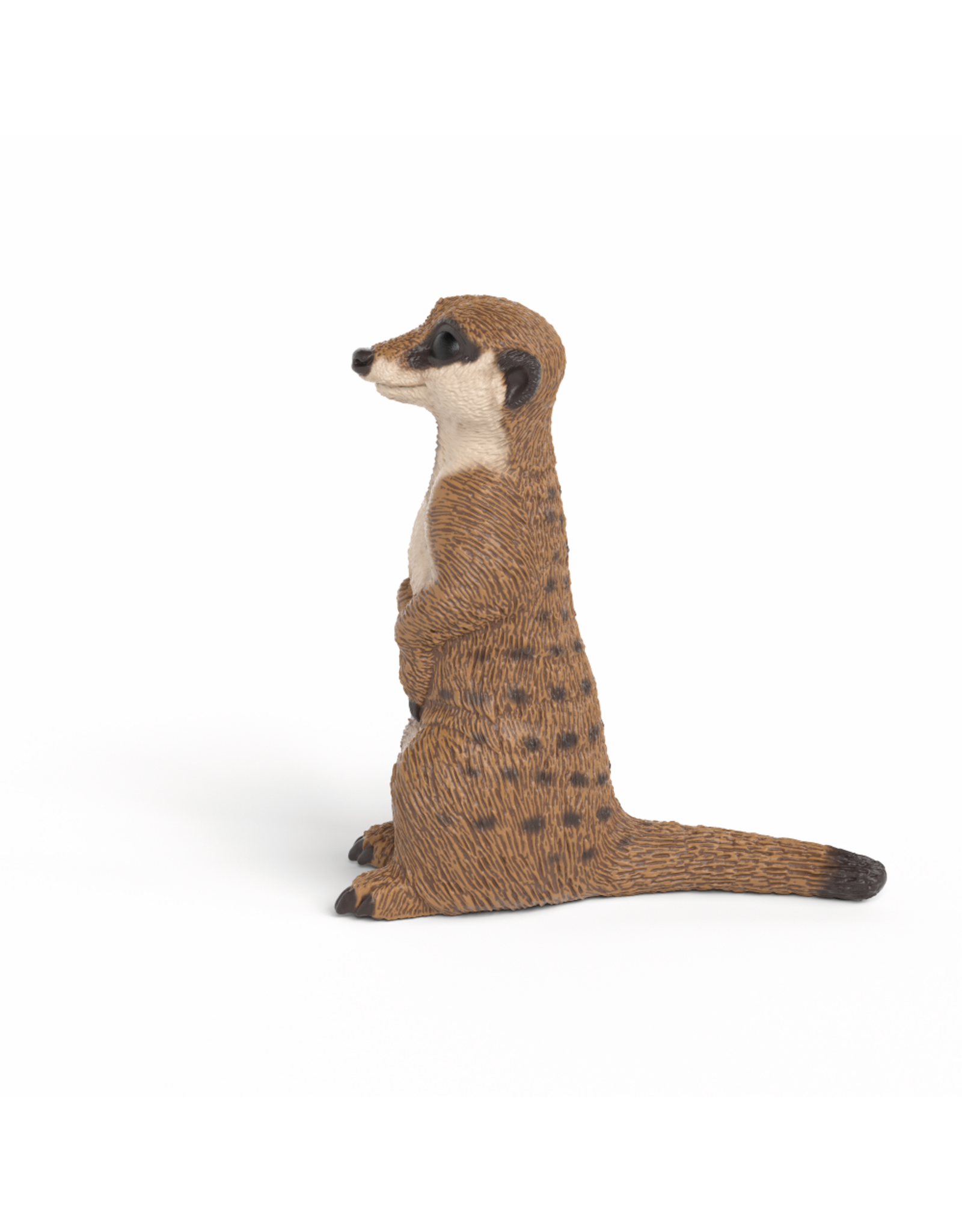 Schleich Meerkat