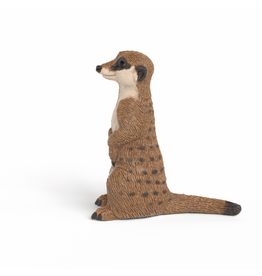 Schleich Meerkat