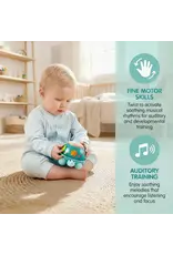 Hape Twist & Tune Turtle