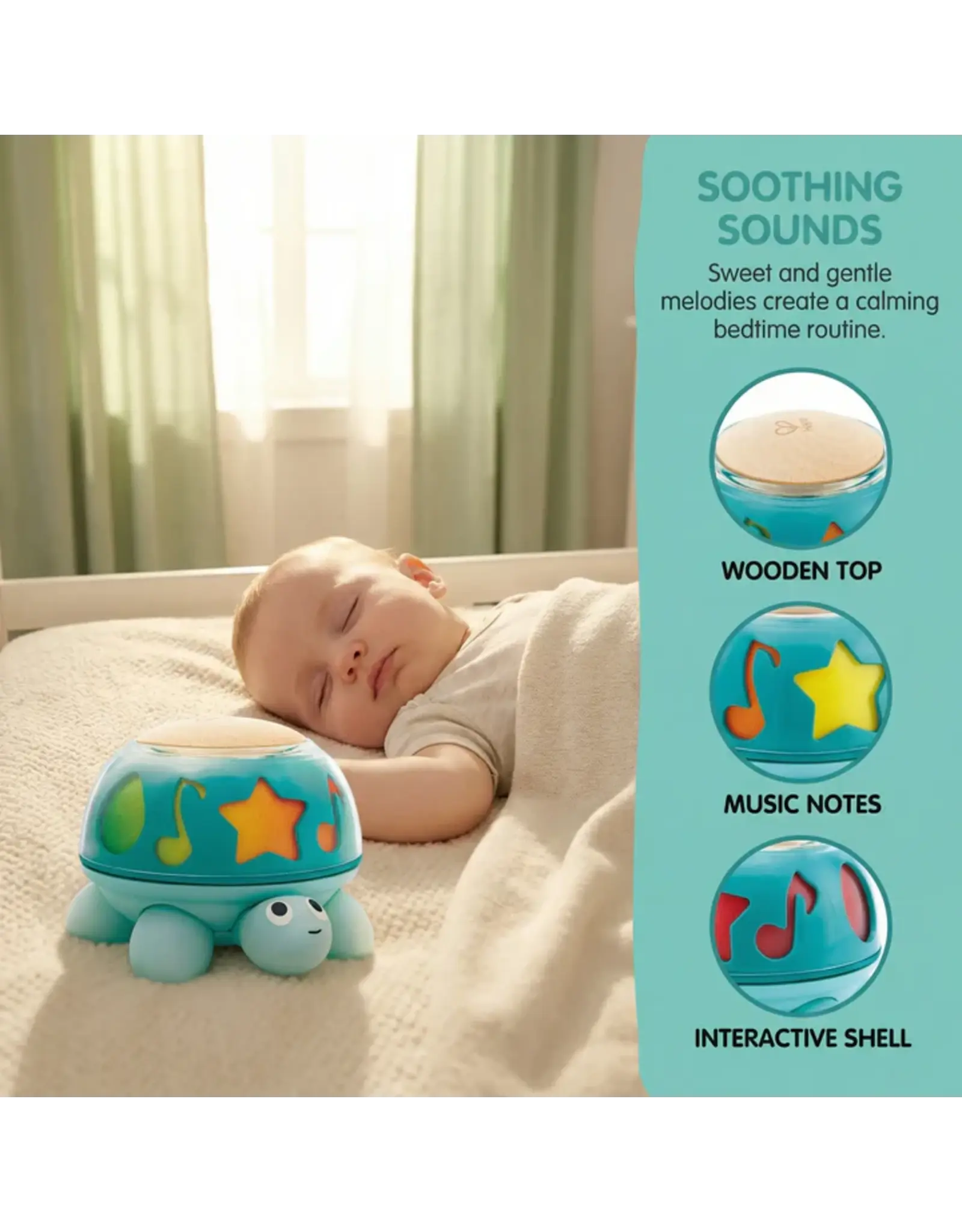 Hape Twist & Tune Turtle