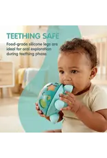 Hape Twist & Tune Turtle