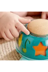 Hape Twist & Tune Turtle