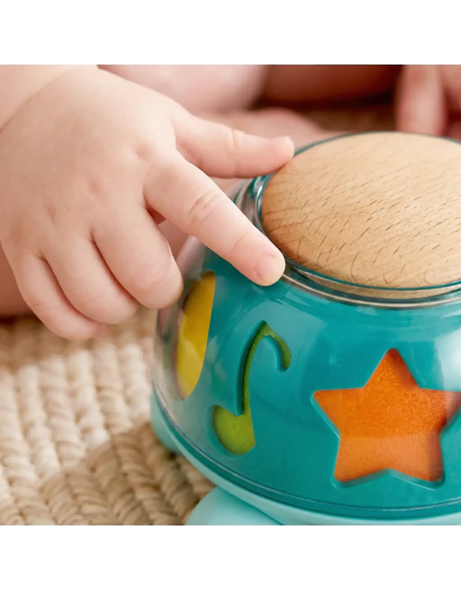 Hape Twist & Tune Turtle