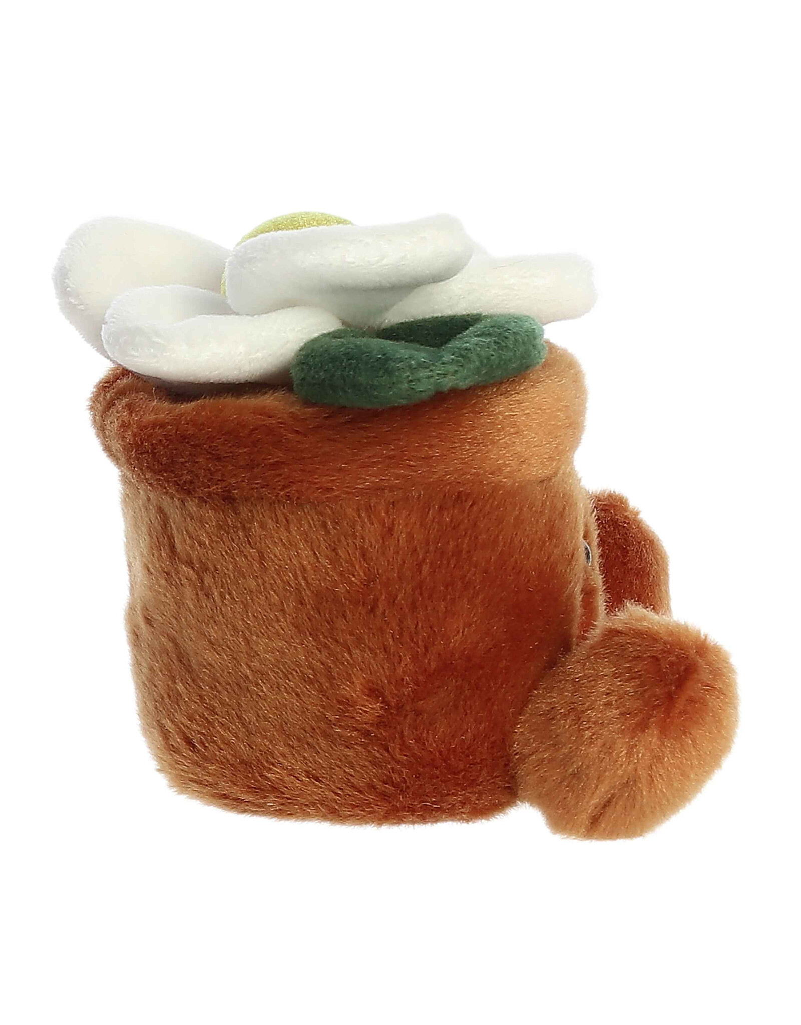 Palm Pals  Junie Daisy 5"