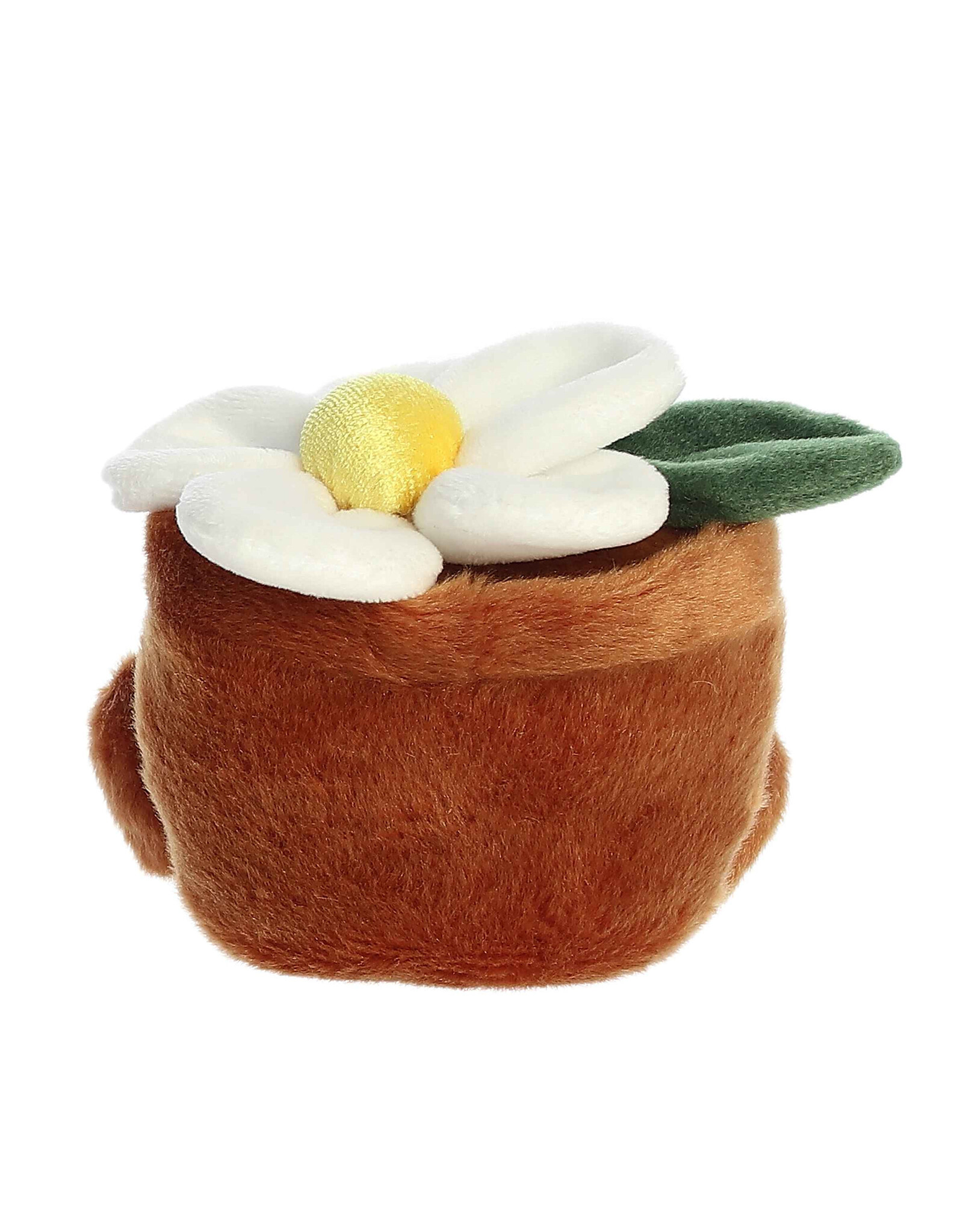 Palm Pals  Junie Daisy 5"