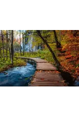 Ravensburger Autumnal Forest Path 1000pcs