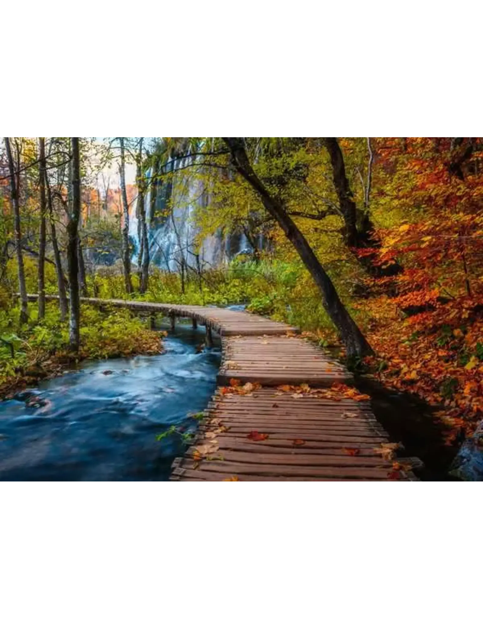 Ravensburger Autumnal Forest Path 1000pcs