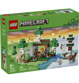 LEGO Minecraft 21593 First Night Adventure