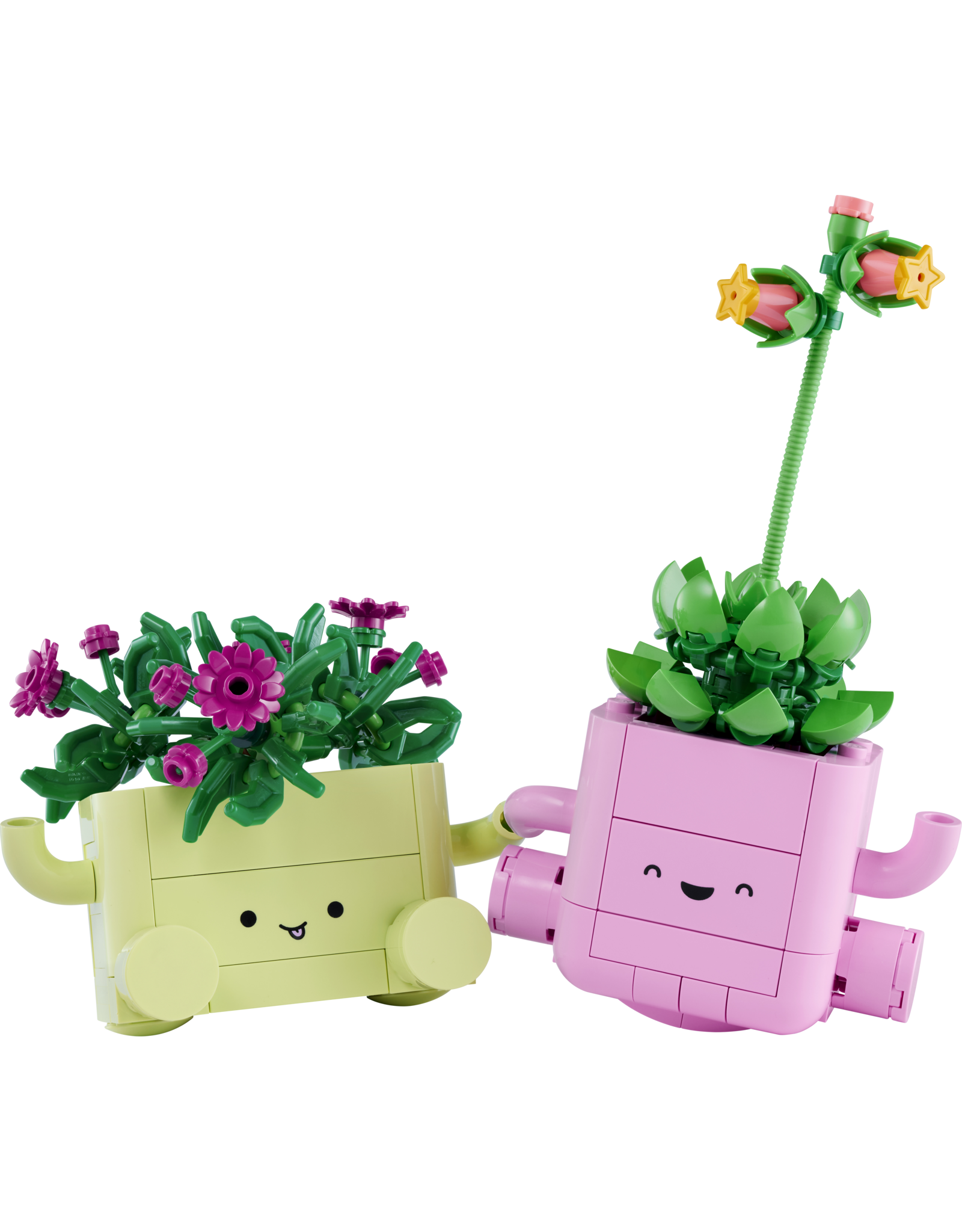 LEGO Botanicals 11506 Rocking Plants