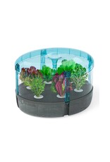 Thames & Kosmos Hydroponics Lab