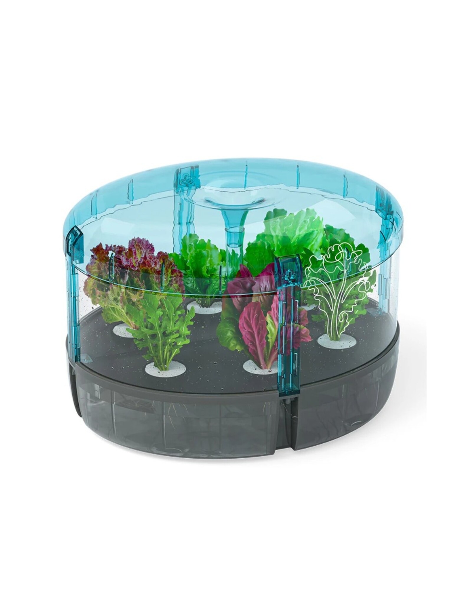 Thames & Kosmos Hydroponics Lab