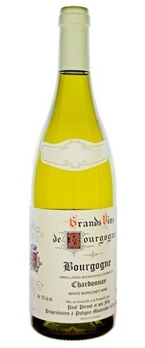 Paul Pernot Bourgogne Cote d’Or Blanc 2023 750ml