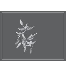 Arnot-Roberts Trousseau North Coast 2023 750ml