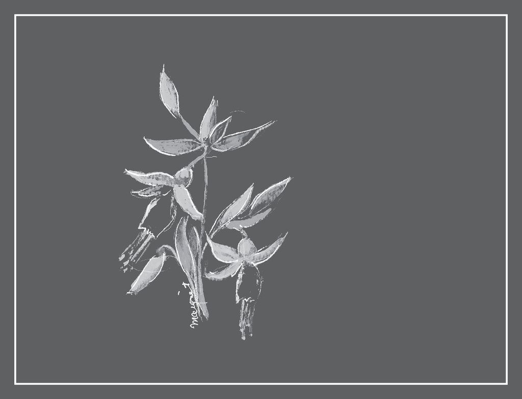 Arnot-Roberts Trousseau North Coast 2023 750ml