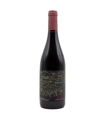 Tiago Teles “Raiz” Vinho Tinto Portugal 2022 750ml