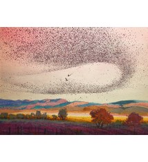 Johan Vineyards "Murmuration" Red Wine  Van Duzer Corridor Willamette Valley 2021 750ml