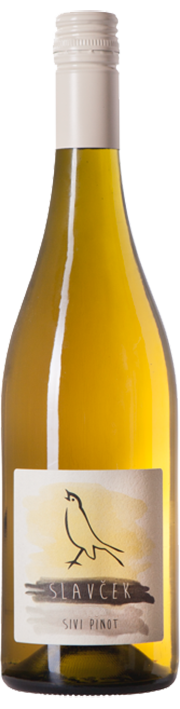 Slavcek Sivi Pinot (Pinot Grigio) Vipavska Dolina Slovenia 2022 750ml