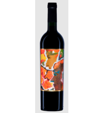 Villalobos "Costino" Cabernet Sauvignon Valle de Colchagua 2021 750mL