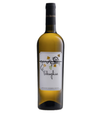 Trabucco Falanghina Campania 2024 750ml