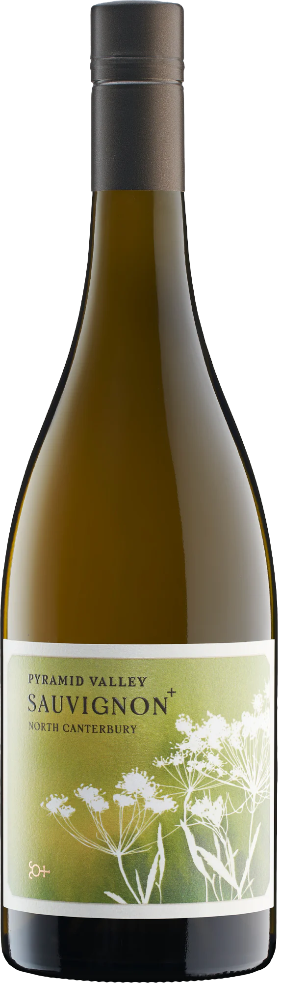 Pyramid Valley Sauvignon Marlborough 2023 750ml