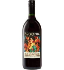 Begonia Red Sangria 1L
