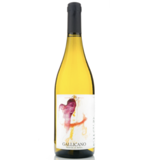 Castrum Morisci "Gallicano" Pecorino Falerio 2020 750ml