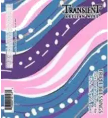 Transient "Triple Blessings" DDH Double India Pale Ale 16oz 4pk