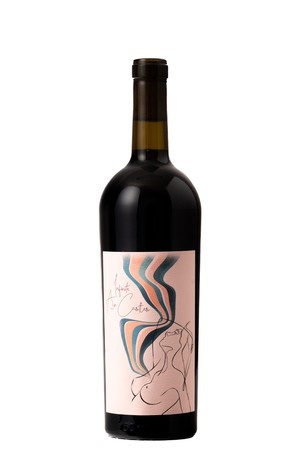 Day Wines "Infinite Air Castles" Red Wine Willamette Valley 2021 750ml