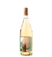 Day Wines "Dazzles of Light" White Wine Willamette Valley 2023 750ml