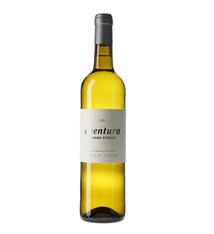 Susan Esteban "Aventura" Vinho Branco 2021 750ml