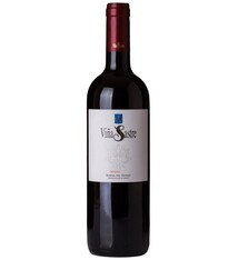 Vina Sastre Crianza Ribero del Duero 2021 750ml