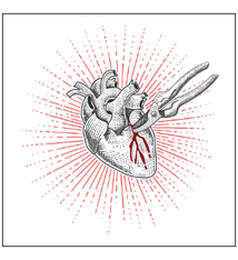 Adamare Tinto Ribera Sacra 2020 750ml