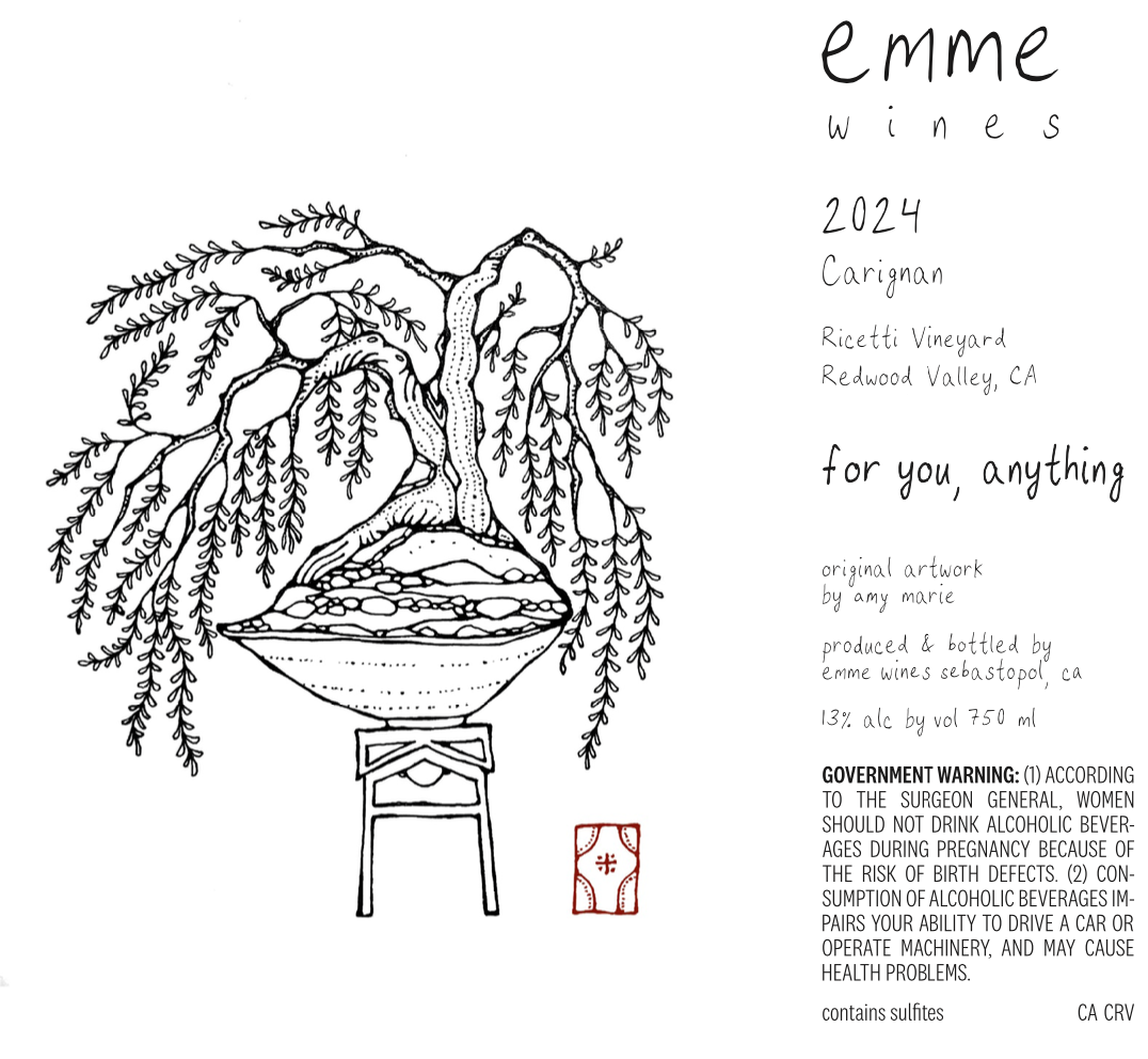 Emme "for you, anything" Carignan Ricetti Vineyard  Redwood Valley 2024 750ml