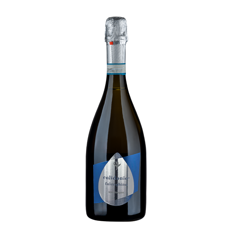 Terre Stregate "Calidonio" Falanghina dell Sanio Spumante Brut 750ml