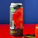 Marz "Hospitality Lager" House Lager 16oz 4pk