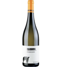 San Salvatore Falanghina Campania 2023 750ml