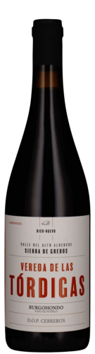 Rico Nuevo "Vereda de las Tordigas" Cebreos Red Wine 2021 750ml