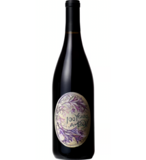 Day Wines "100 Years a Lady" Pinot Meunier Willamette Valley 2022 750ml