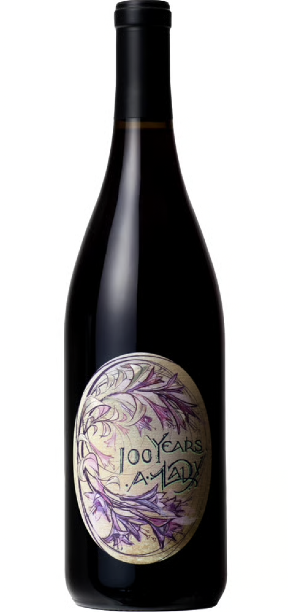Day Wines "100 Years a Lady" Pinot Meunier Willamette Valley 2022 750ml