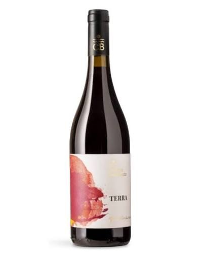 Cantine Benvenuto "Terra" Rosso Calabria 2024 750ml