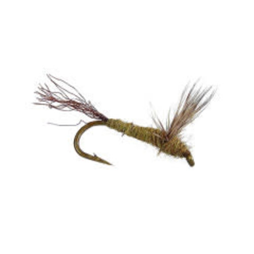 Sparkle Dun-Blue Wing Olv Sparkle Dun-Blue Wing Olv