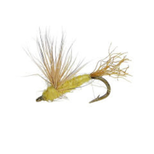 Holly Flies Sparkle Dun Sulpher Yellow Holly Flies Sparkle Dun Sulpher Yellow