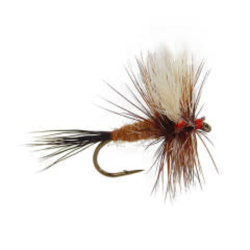 Wulff-Ausable Wulff-Ausable