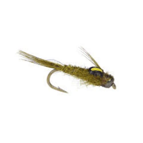 Split Back-BWO Split Back-BWO