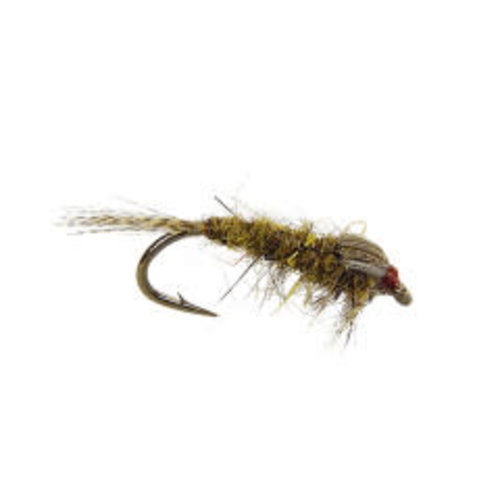 Sulphur Nymph Sulphur Nymph
