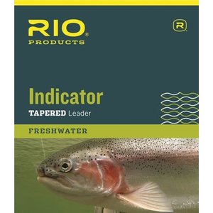 RIO Products Indicator Leader