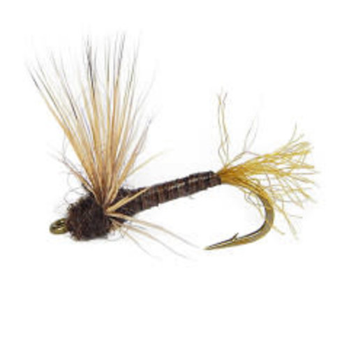Holly Flies Sparkle Dun Blue Quill Holly Flies Sparkle Dun Blue Quill