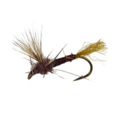 Holly Flies Sparkle Dun Hendricson Male Holly Flies Sparkle Dun Hendricson Male