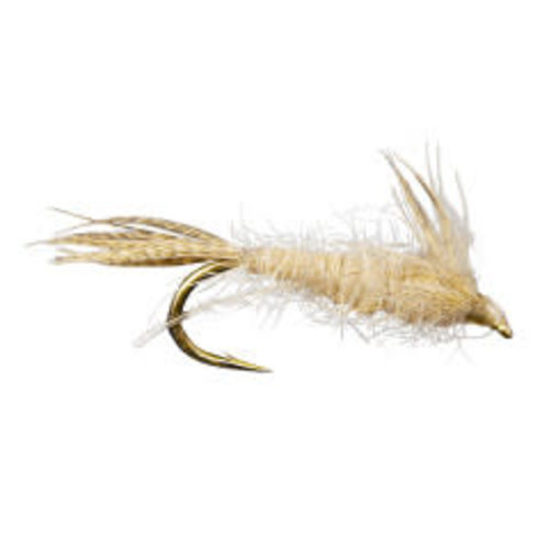 Light Cahill Nymph Light Cahill Nymph