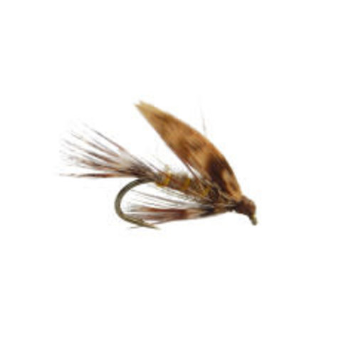 March Brown Wet March Brown Wet